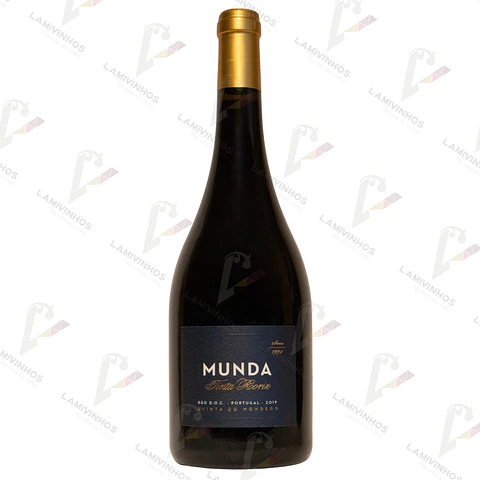 MUNDA TINTA RORIZ — 2019
