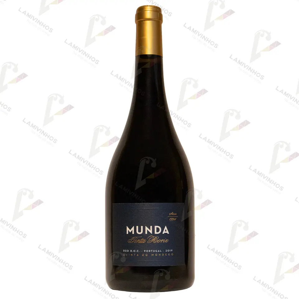 MUNDA TINTA RORIZ — 2019 1