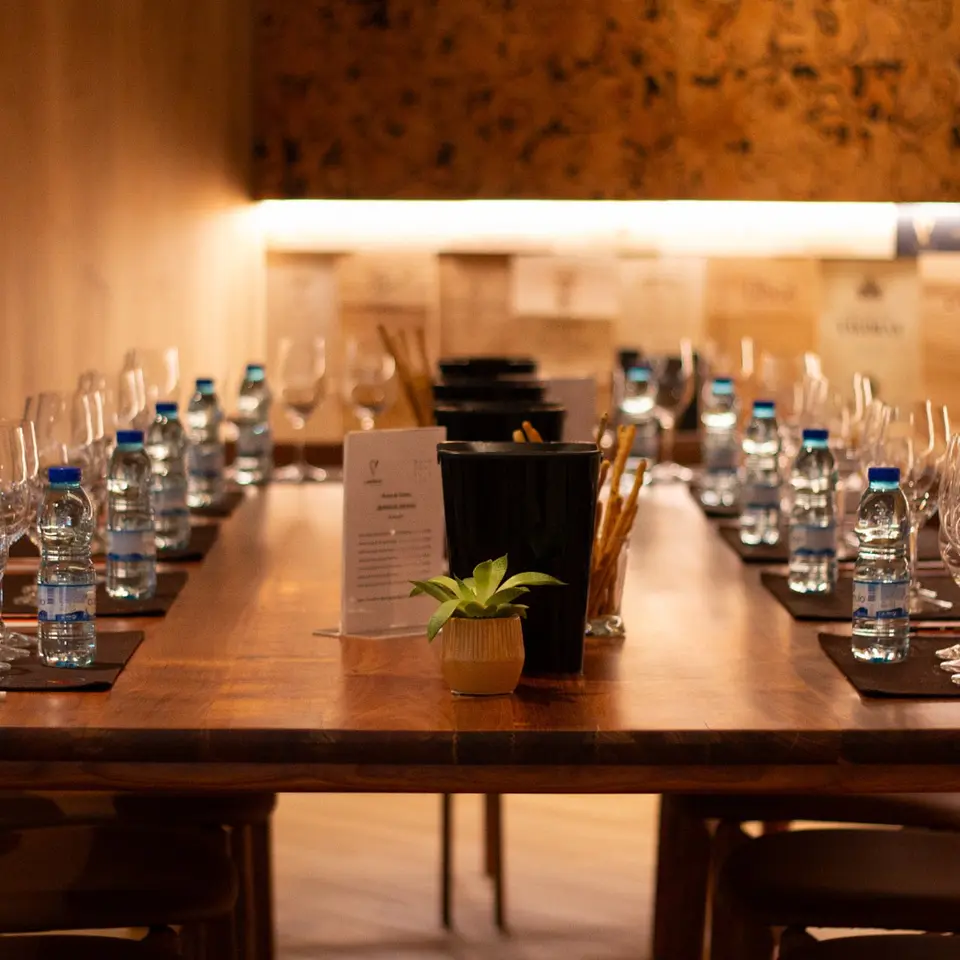 Curso Vinhos Portugueses by Raul Riba D'Ave 1
