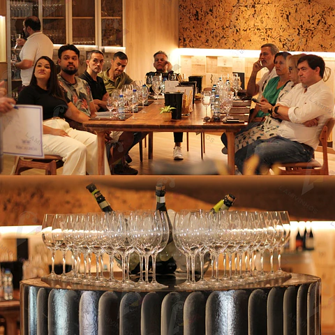 Walking Tasting | Lamivinhos Wine Cellar Signature