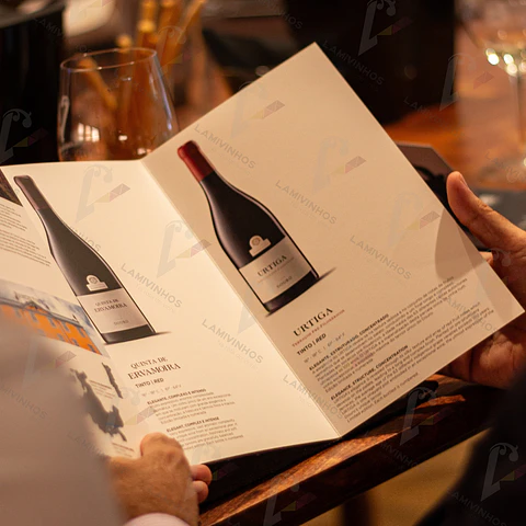 WSET Nível 2 em Vinhos