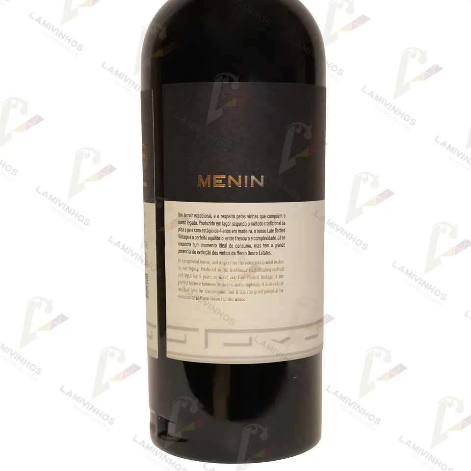 MENIN LBV 2019 2