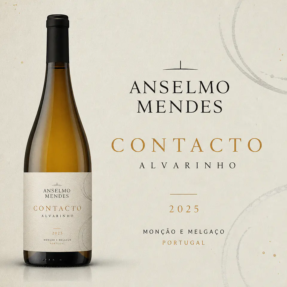 ANSELMO MENDES CONTACTO ALVARINHO - 2025 1