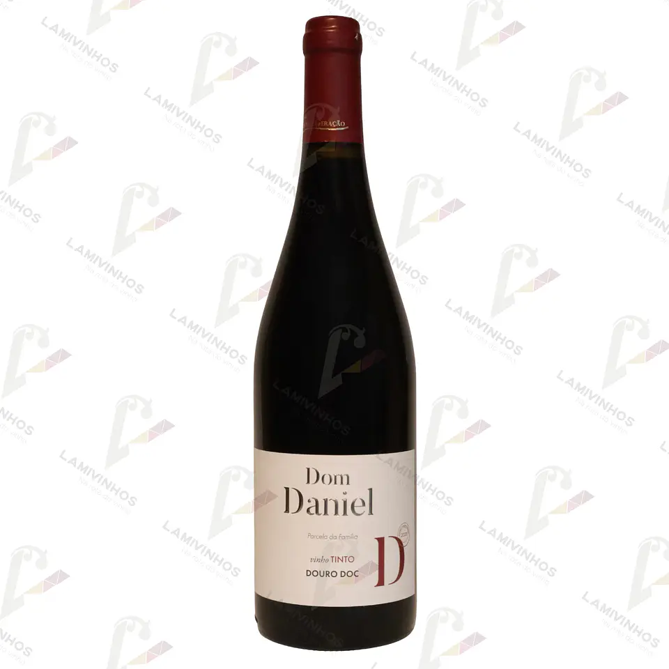 DOM DANIEL PARCELA DA FAMILIA TINTO 1
