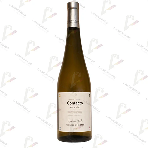 ANSELMO MENDES CONTACTO ALVARINHO - 2025