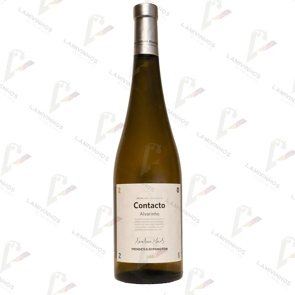 ANSELMO MENDES CONTACTO ALVARINHO - 2025 1