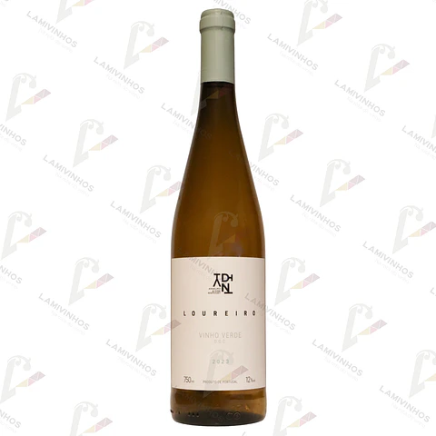 ANSELMO MENDES & DIRK NIEPOORT ADN LOUREIRO - 2023 