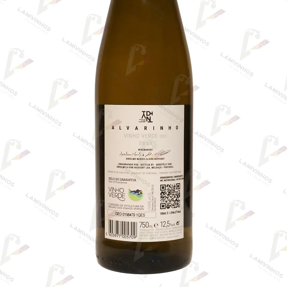 ANSELMO MENDES & DIRK NIEPOORT ADN ALVARINHO - 2025 2