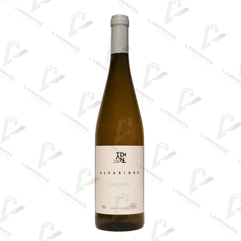 ANSELMO MENDES & DIRK NIEPOORT ADN ALVARINHO - 2025
