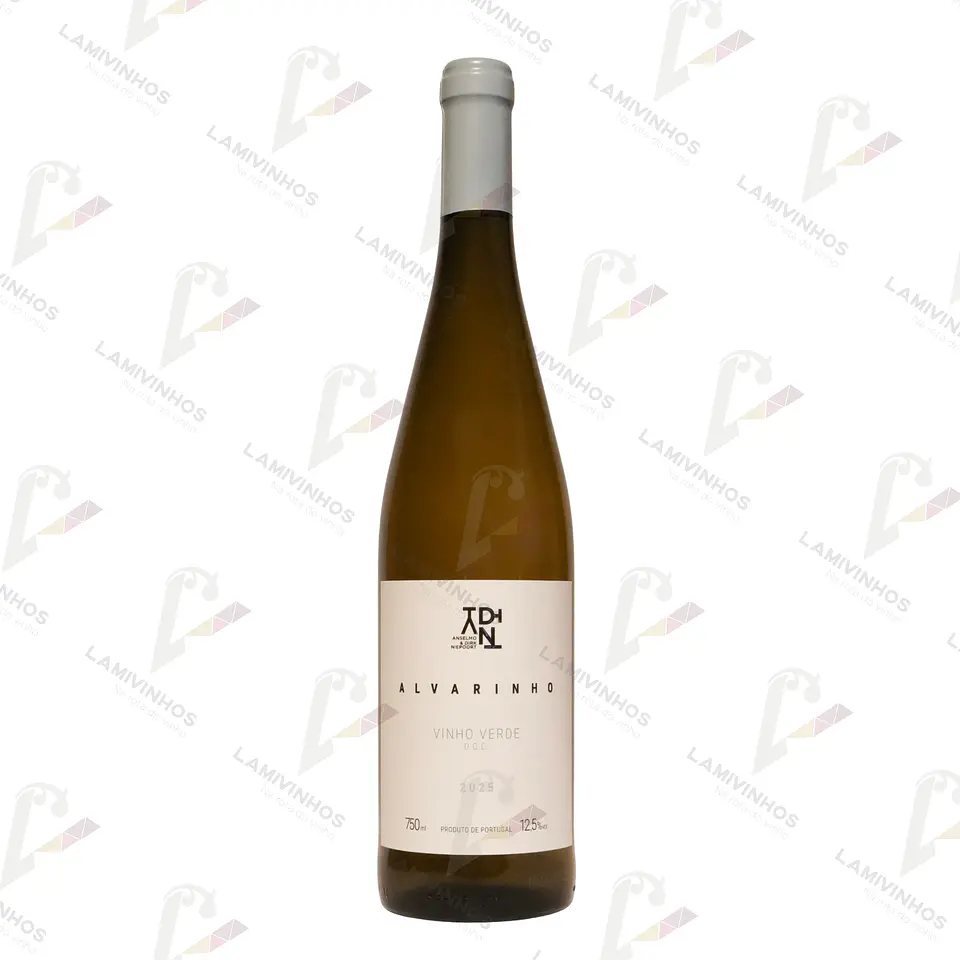ANSELMO MENDES & DIRK NIEPOORT ADN ALVARINHO - 2025 1