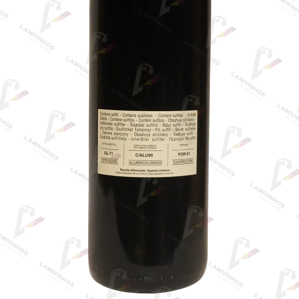 SASSICAIA 2023 2