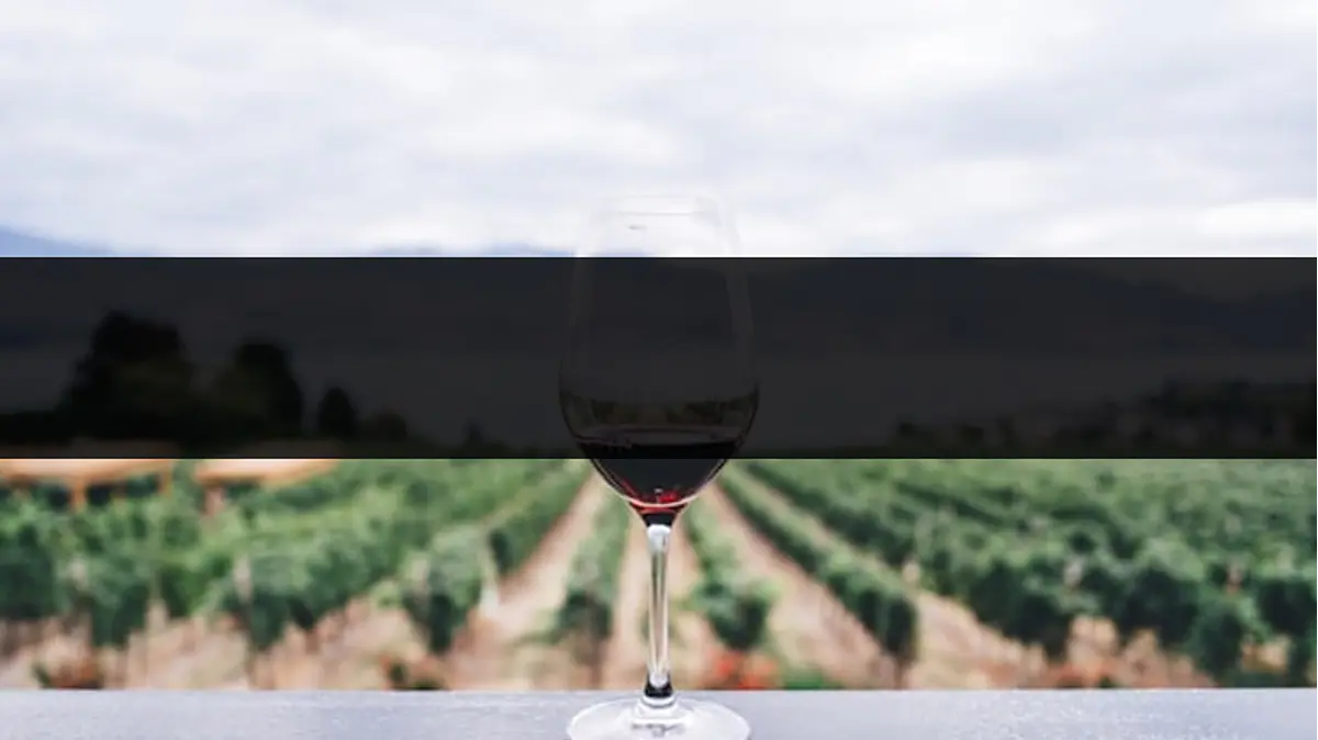 Eventos e Provas de Vinho