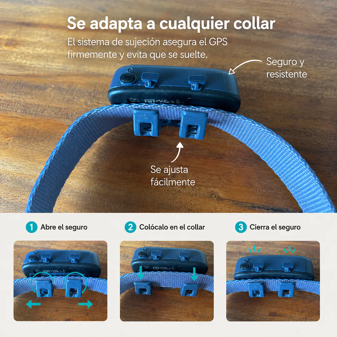 SígueMe Max II 2