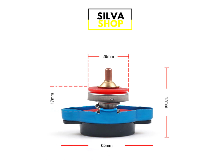 Tampa com Manómetro de Temperatura para Mota 4