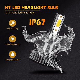 H7 Canbus LED Bulbs