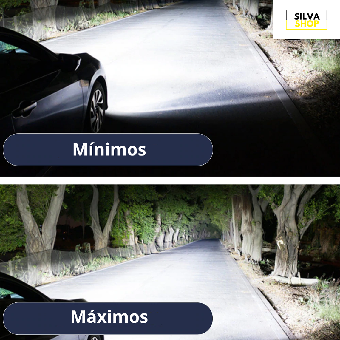 Lâmpadas LED H1 Canbus 2