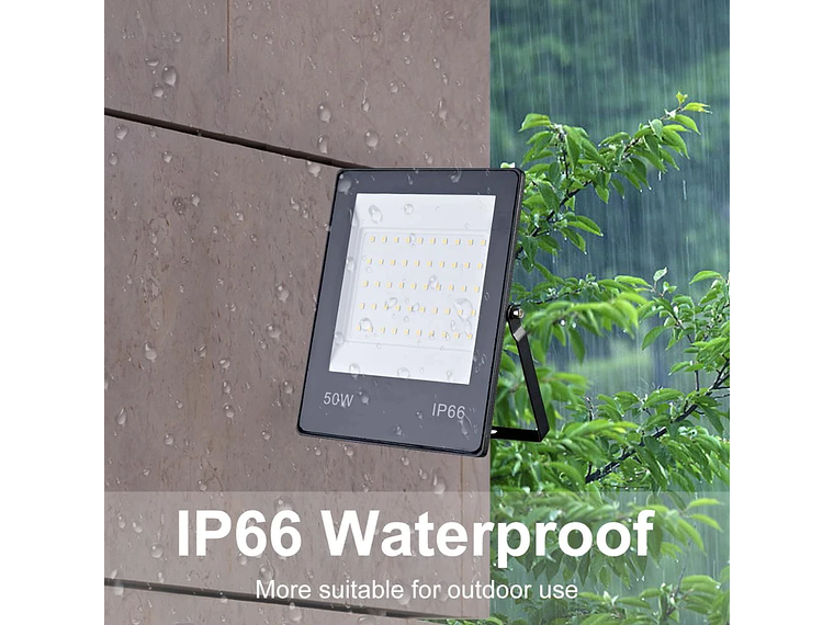 Proyector LED 30W IP66 2