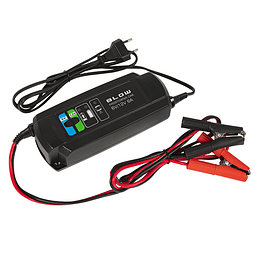 Chargeur de batterie intelligent BS10 6V/12V 1A