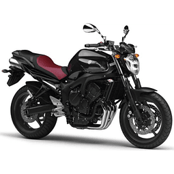 FZ6