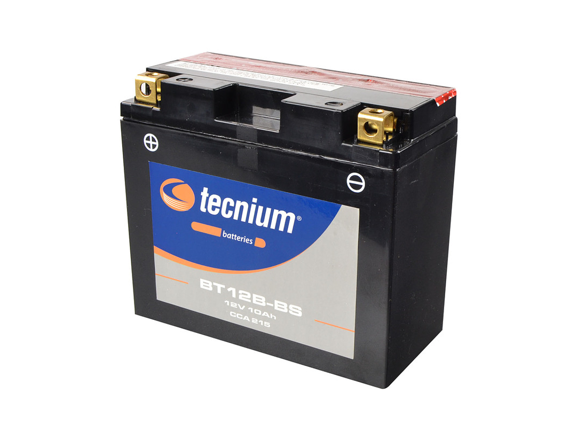 Bateria 12V 10Ah BT12B-BS Tecnium 1