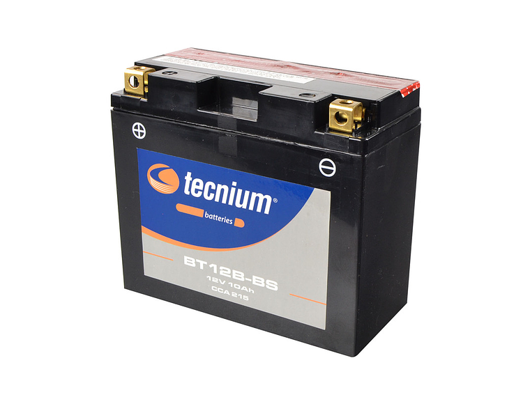 Bateria 12V 10Ah BT12B-BS Tecnium 1