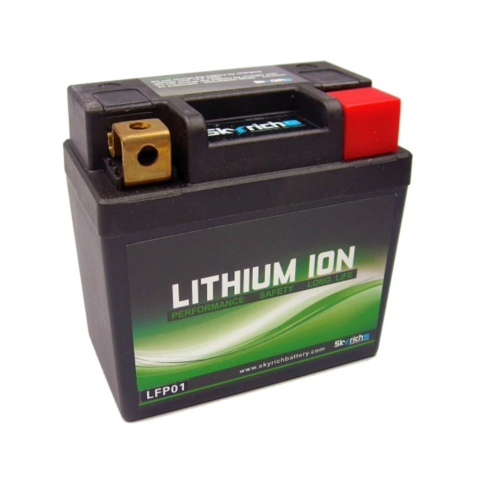 Bateria de Lítio Skyrich LFP01 1