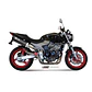 Escape MIVV Oval Honda Hornet 600 2003-06 - Miniatura 3