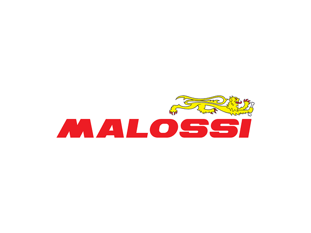 Malossi
