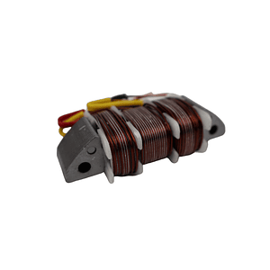 Bobine Luz Yamaha DT50LC / RZ50 TW 