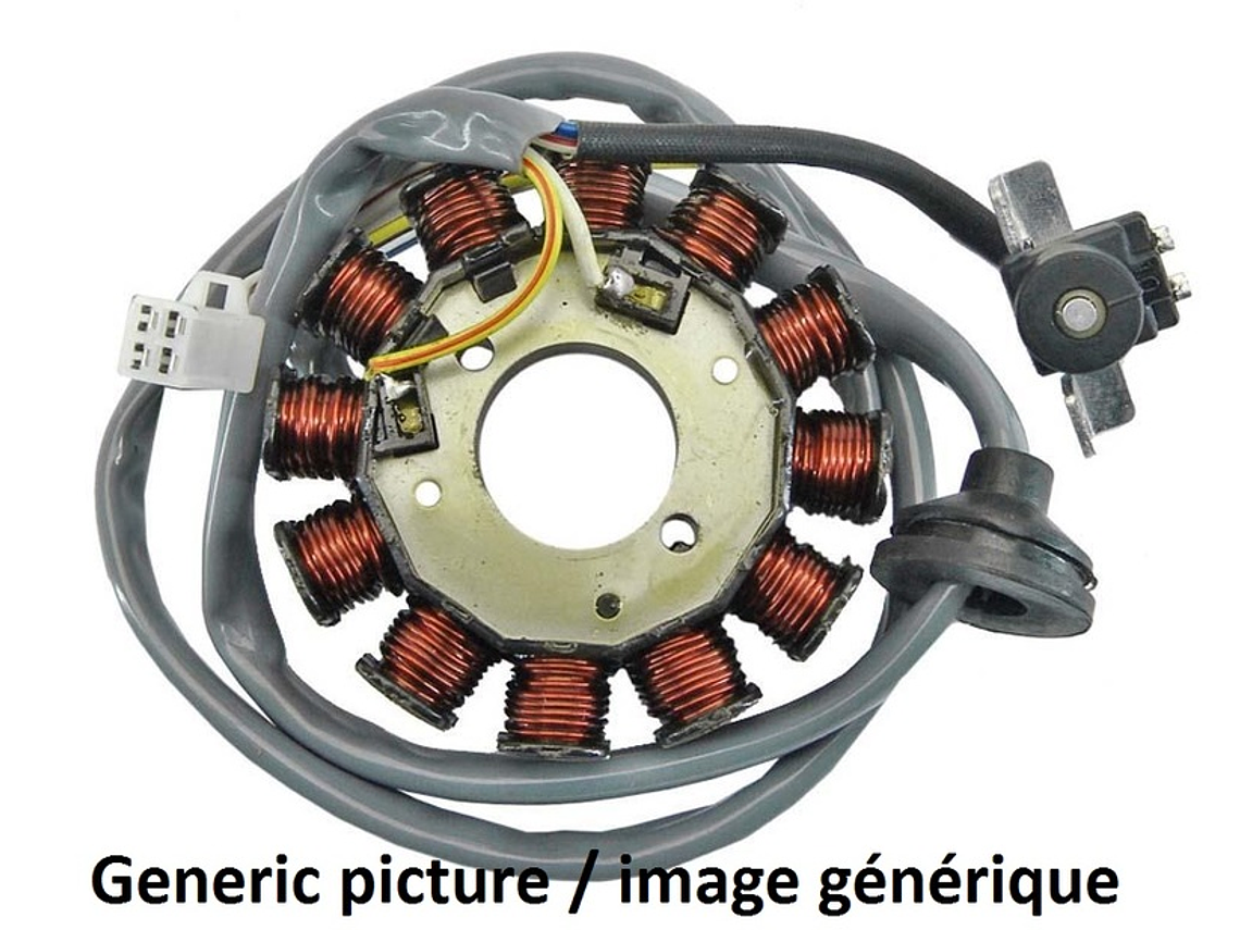 Estator Tecnium Yamaha R1 02-03 1