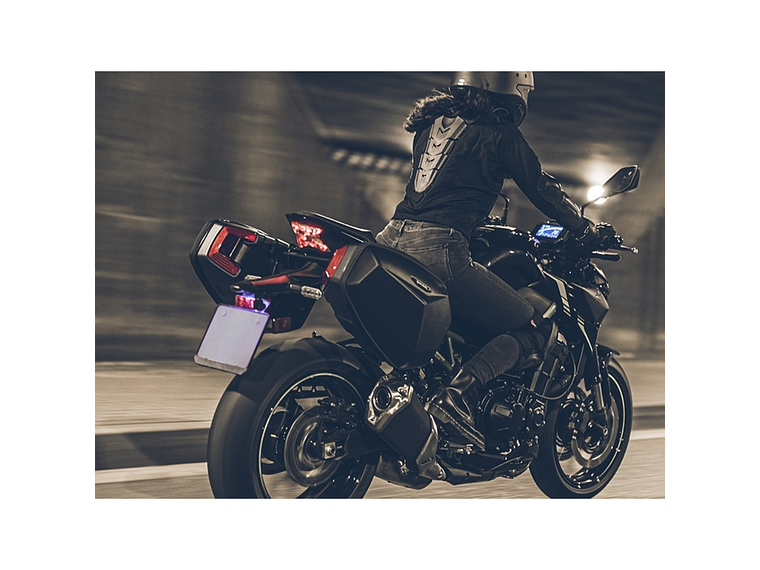 Bolsas Laterais SHAD E48SR 15L  4