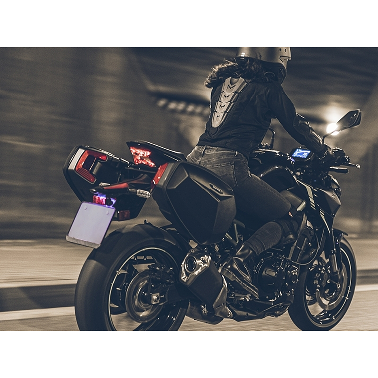 Malas Laterais SHAD E48SR 15L  4