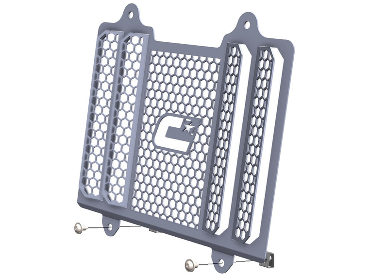 Grelha Proteção Radiador BMW G 310 GS - Crosspro  1