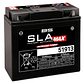 Bateria 51913 (FA) SLA MAX - 300860 - BS Battery  - Thumbnail 1
