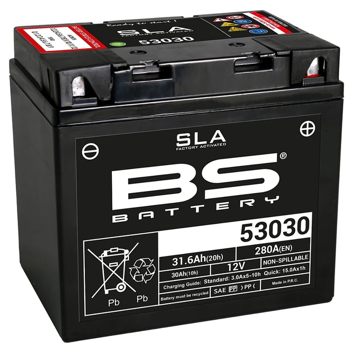 Bateria 53030 (FA) SLA - 300880 - BS Battery  1