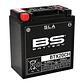 Bateria BS BTX20CH (FA) SLA - 300766 - BS Battery  - Thumbnail 1