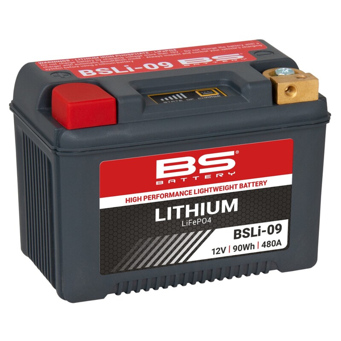 Bateria BS Lítio BSLi-09 - 360109 - BS Battery 1