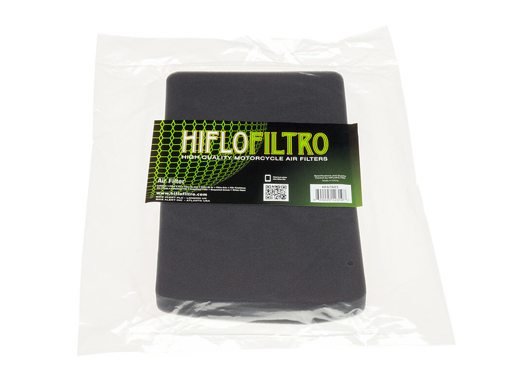 Filtro Ar Hiflofiltro - HFA7603 BMW F650ST/Funduro 1