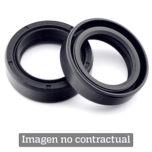 Guarda-Pós / Vedantes de Suspensão All Balls 57-116