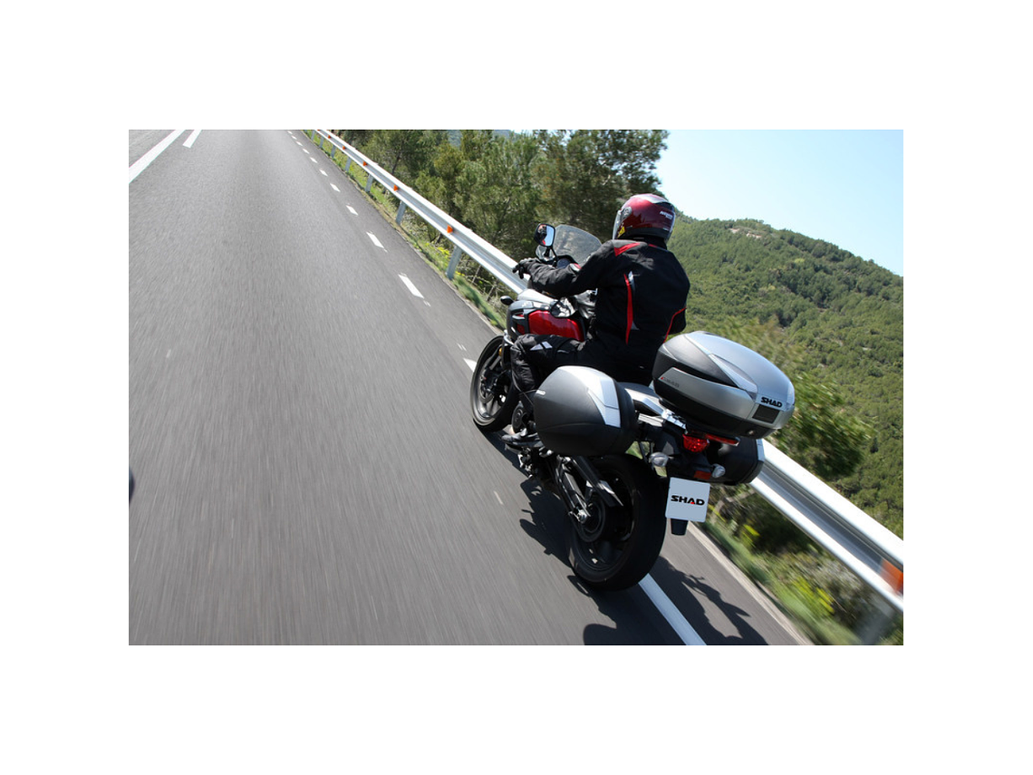 SHAD SH36 Side Bags (Carbon) 7