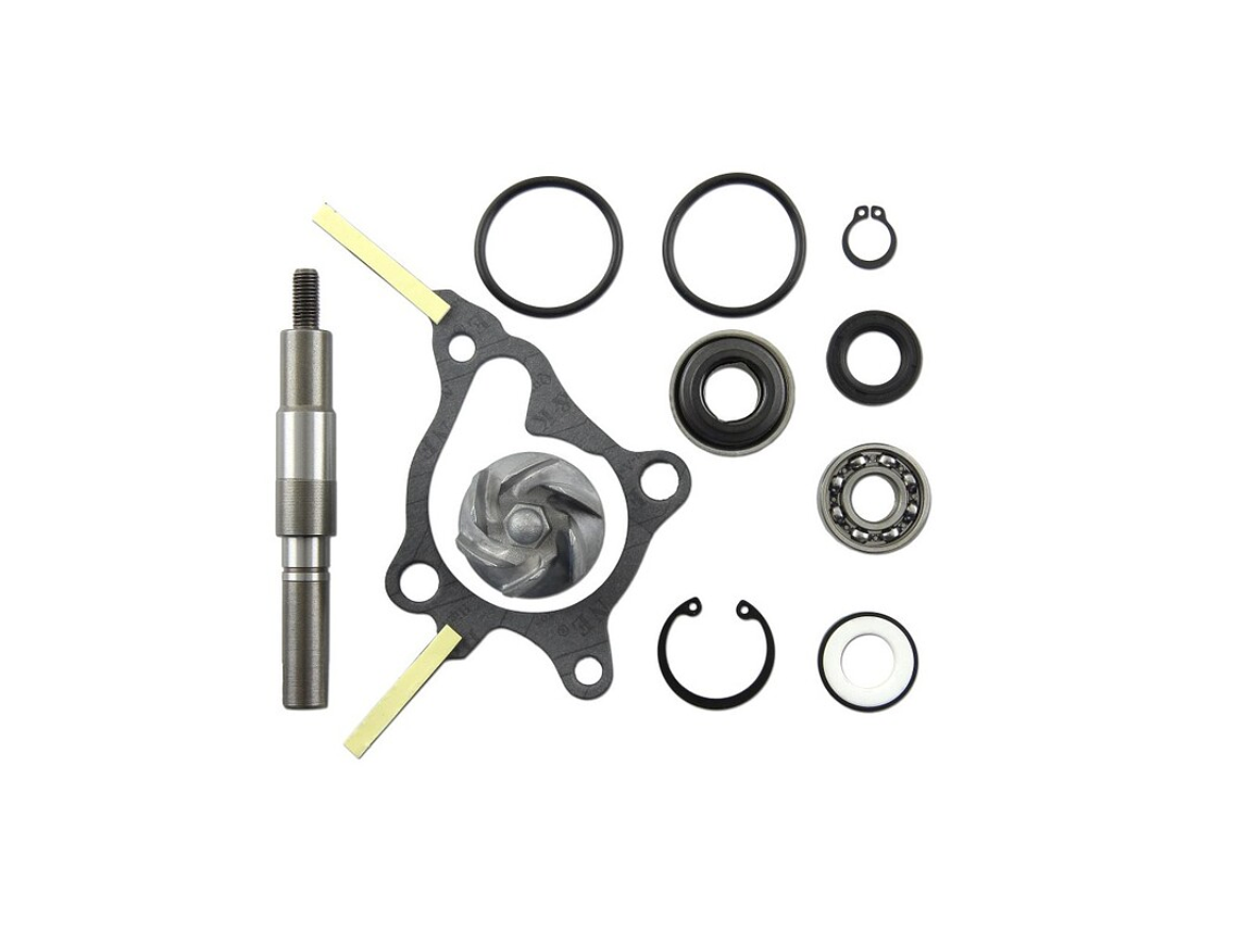 Kit Reparação Bomba de Água V Parts Honda Fes 250 1