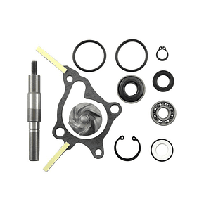 Kit Reparação Bomba de Água V Parts Honda Fes 250