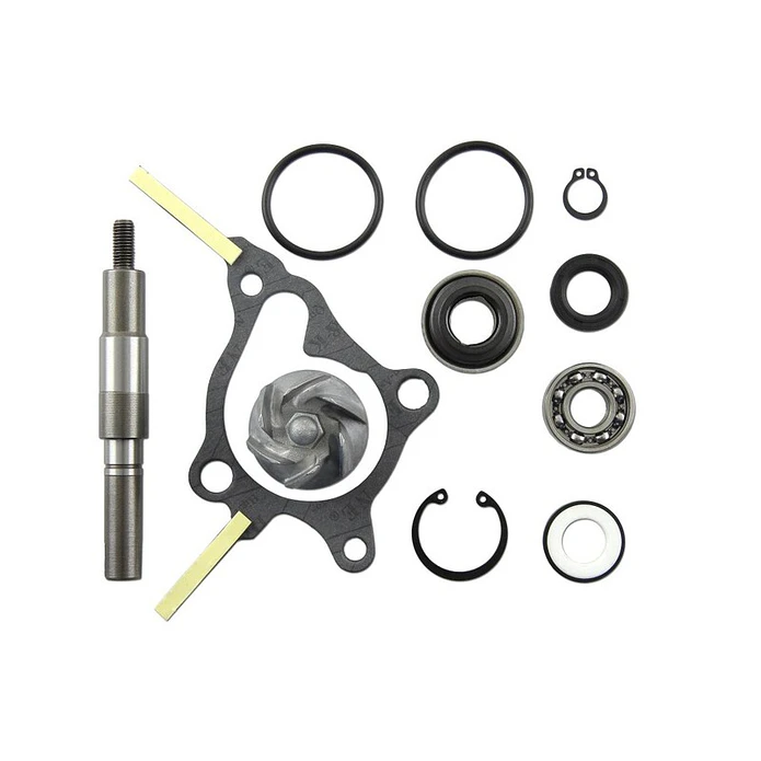 Kit Reparação Bomba de Água V Parts Honda Fes 250 1