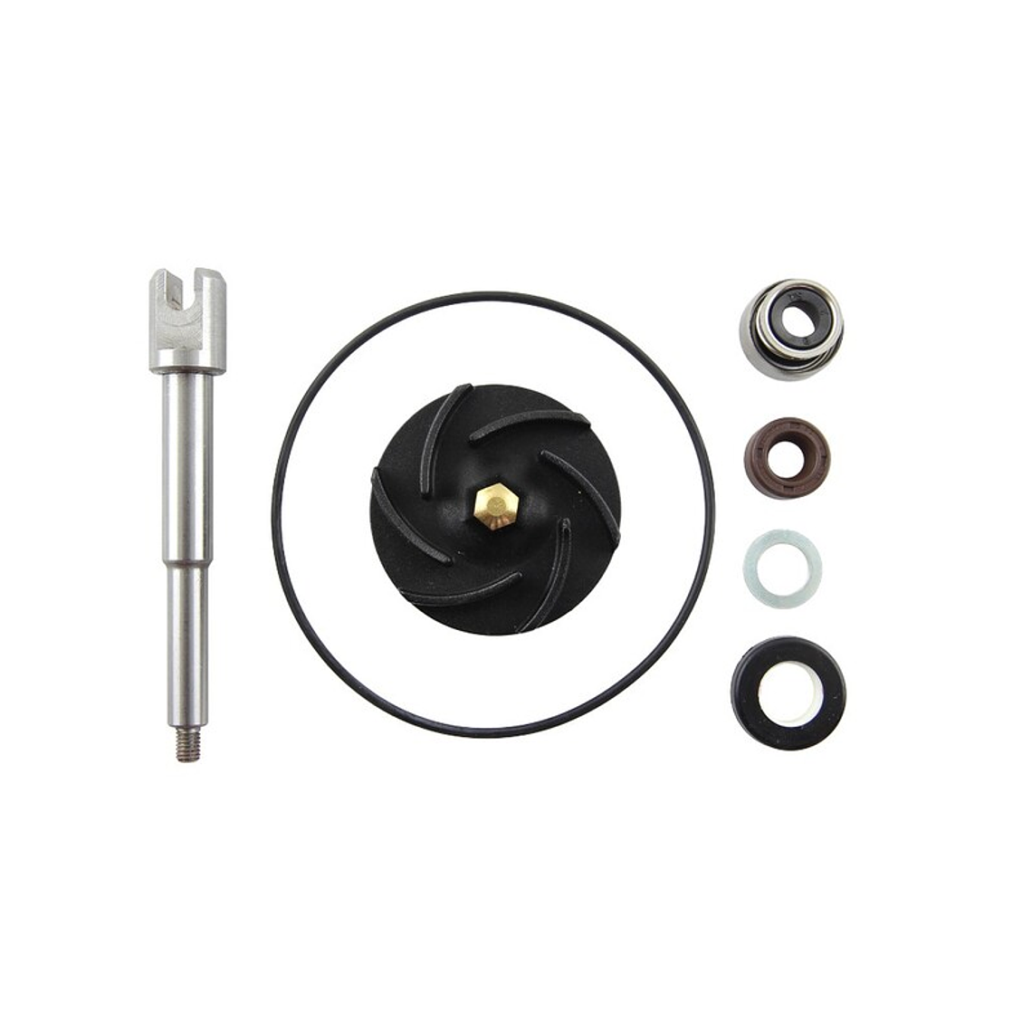 Kit Reparação Bomba de Água Aprilia Scarabeo 500 1
