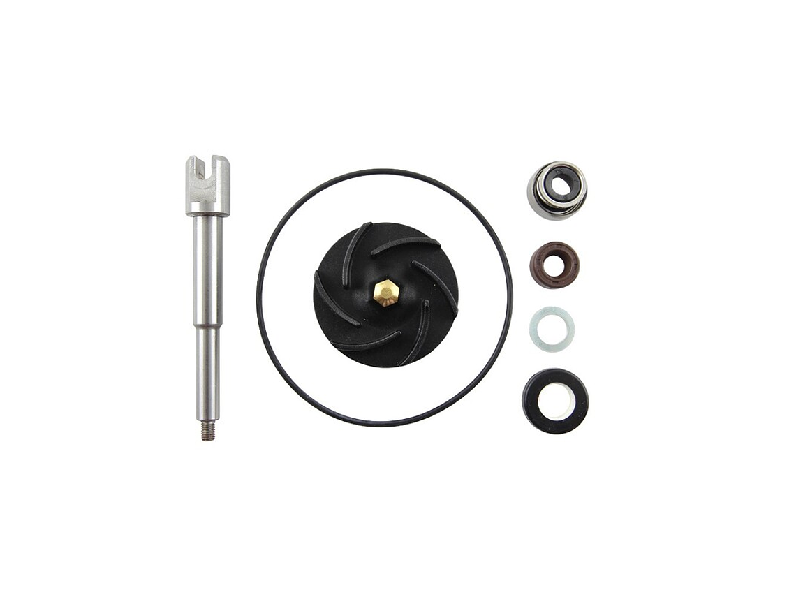 Kit Reparação Bomba de Água Aprilia Scarabeo 500 1