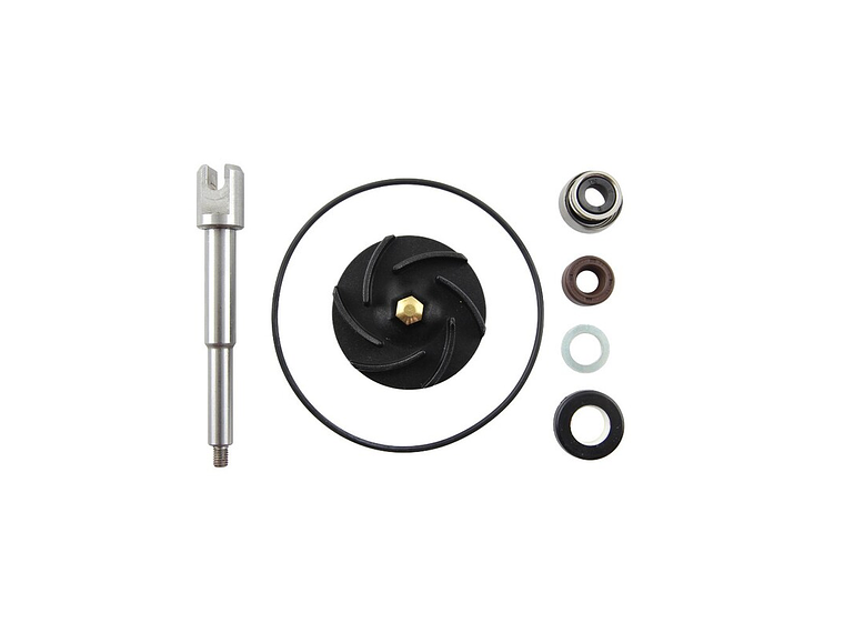 Kit Reparação Bomba de Água Aprilia Scarabeo 500 1
