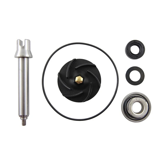 Kit Reparação Bomba de Água Aprilia Scarabeo 500 1