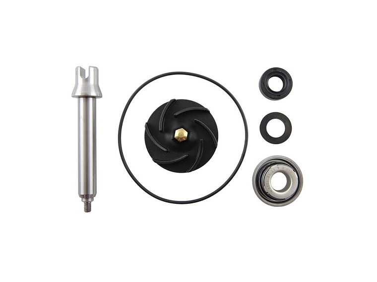 Kit Reparação Bomba de Água Aprilia Scarabeo 500 1