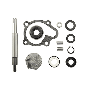 Kit Reparação Bomba de Água V Parts Honda FES 125/250