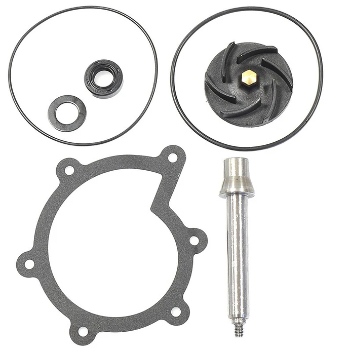 Kit de Reparação Bomba de Água Beverly 500 02-08 1